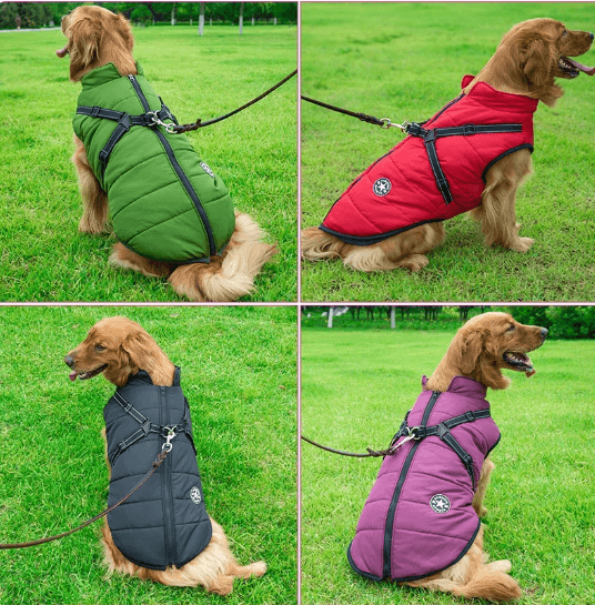 Waterproof puppy fashion coat