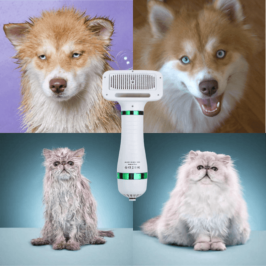 Portable Pet Dryer