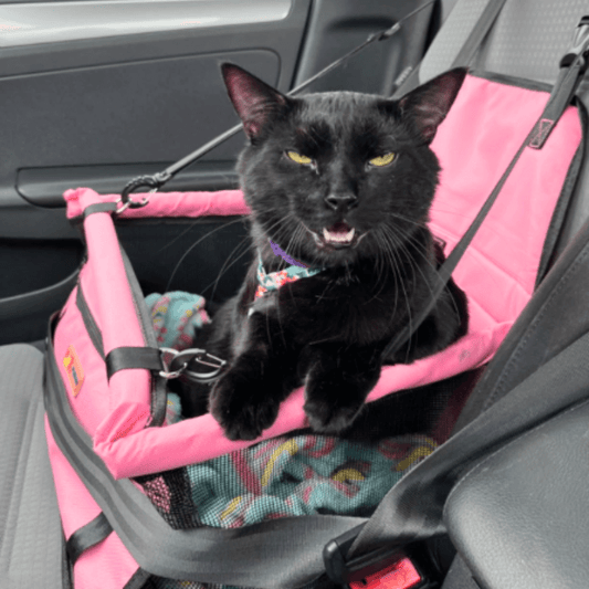 Car Seat Pet Carrier